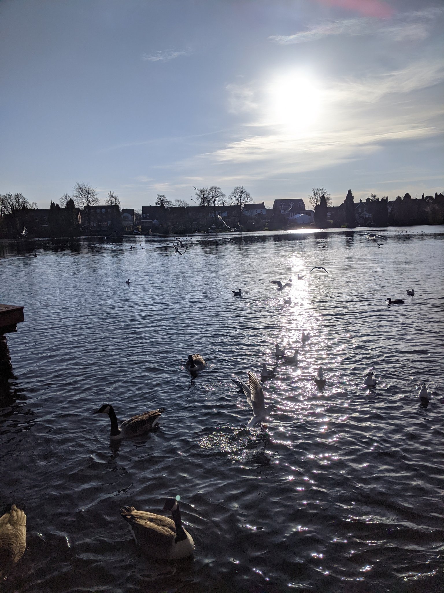 The Mere