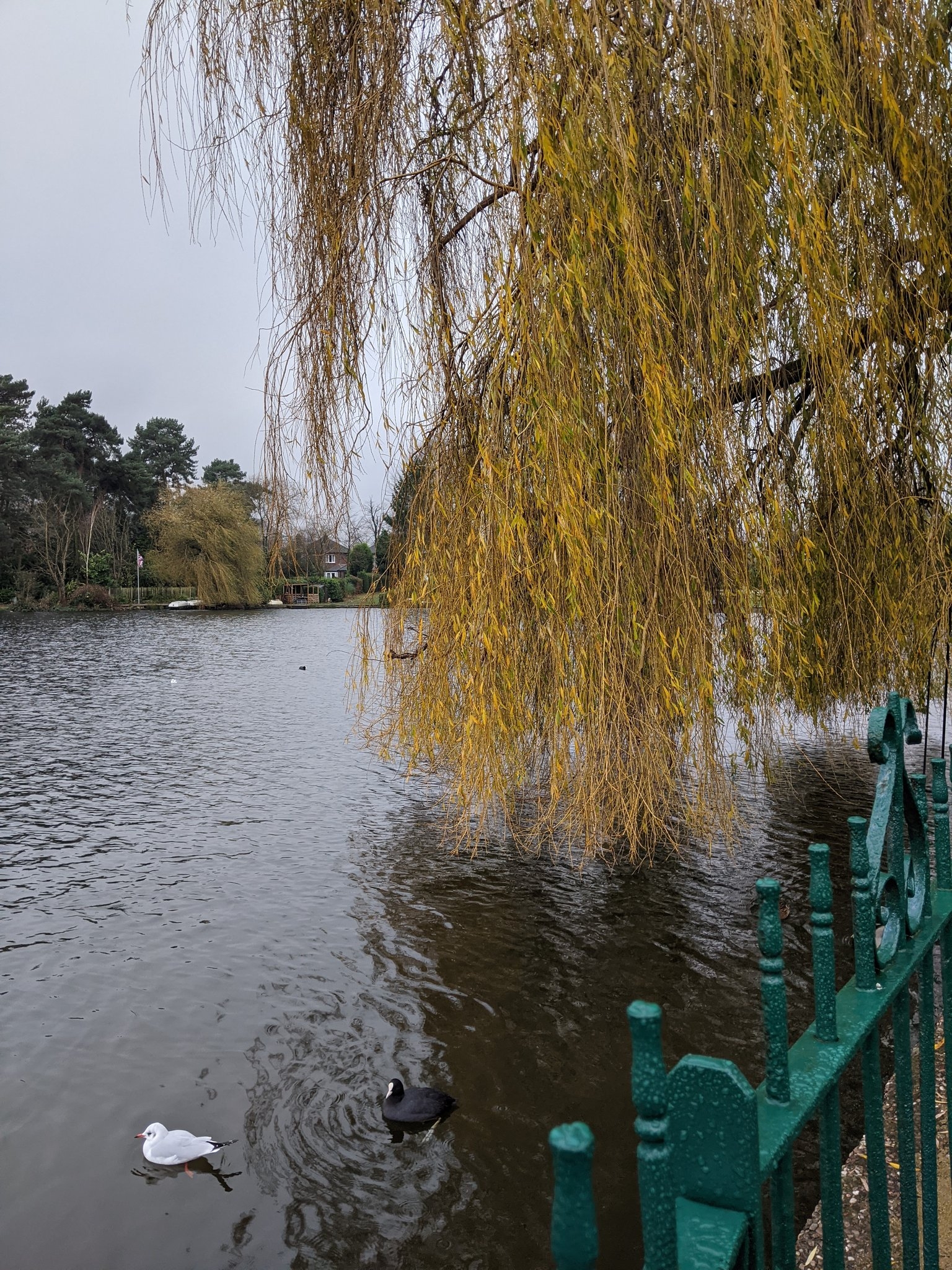 The Mere II