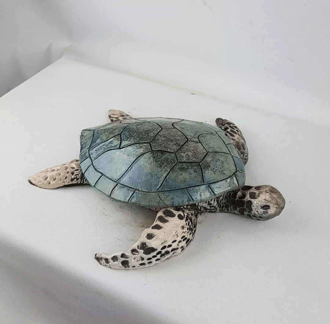 Rakumarineturtle