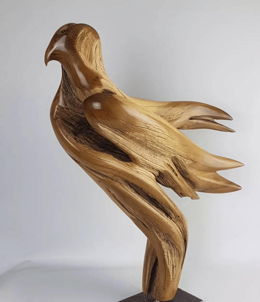 Rapace