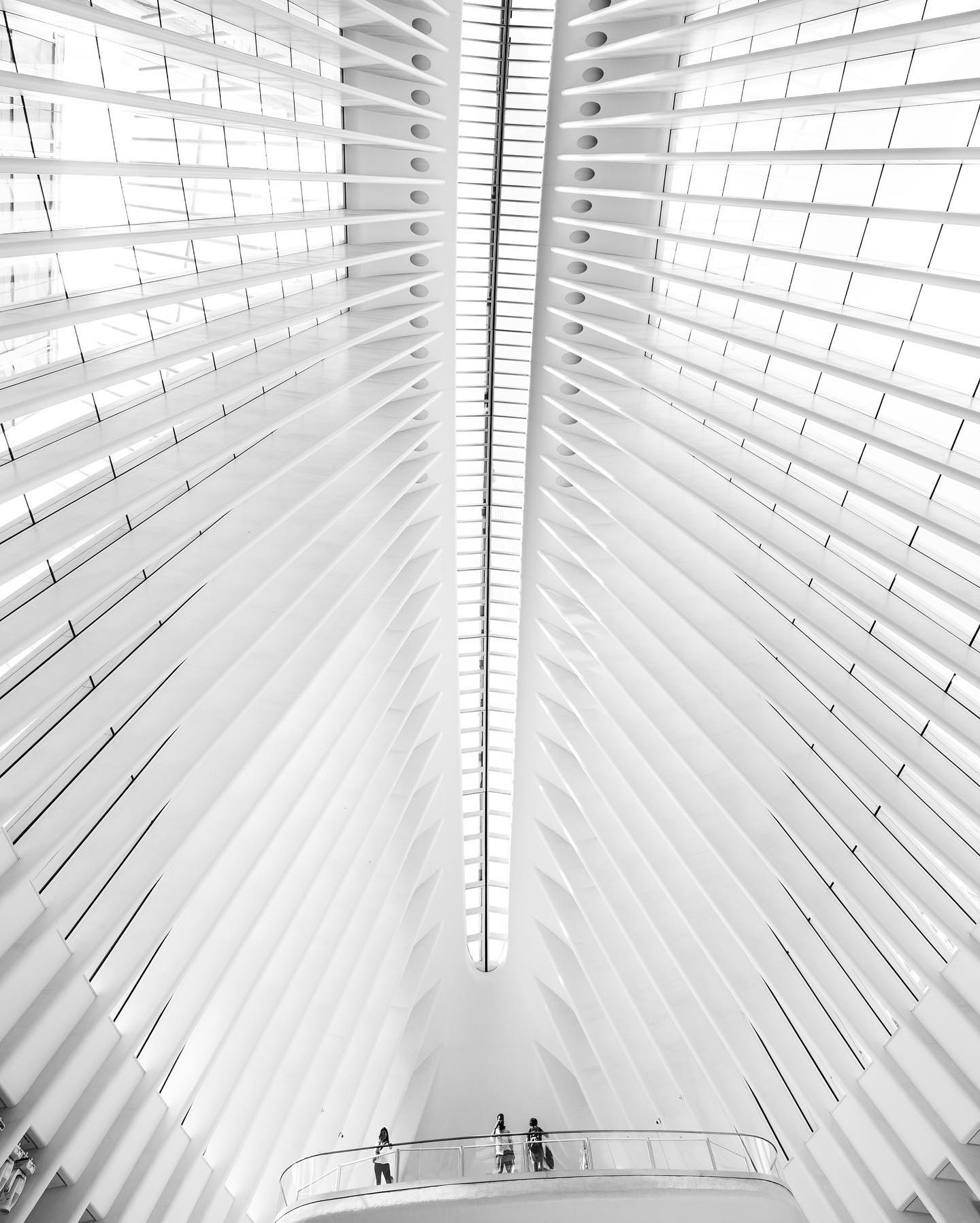 Oculus: Minimalist Architecture and Urban Life