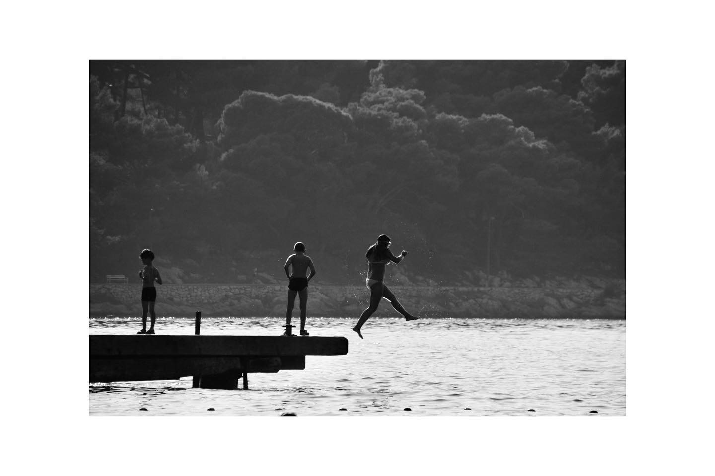 Contemplation on the Water's Edge: A Trio's Serene Moment