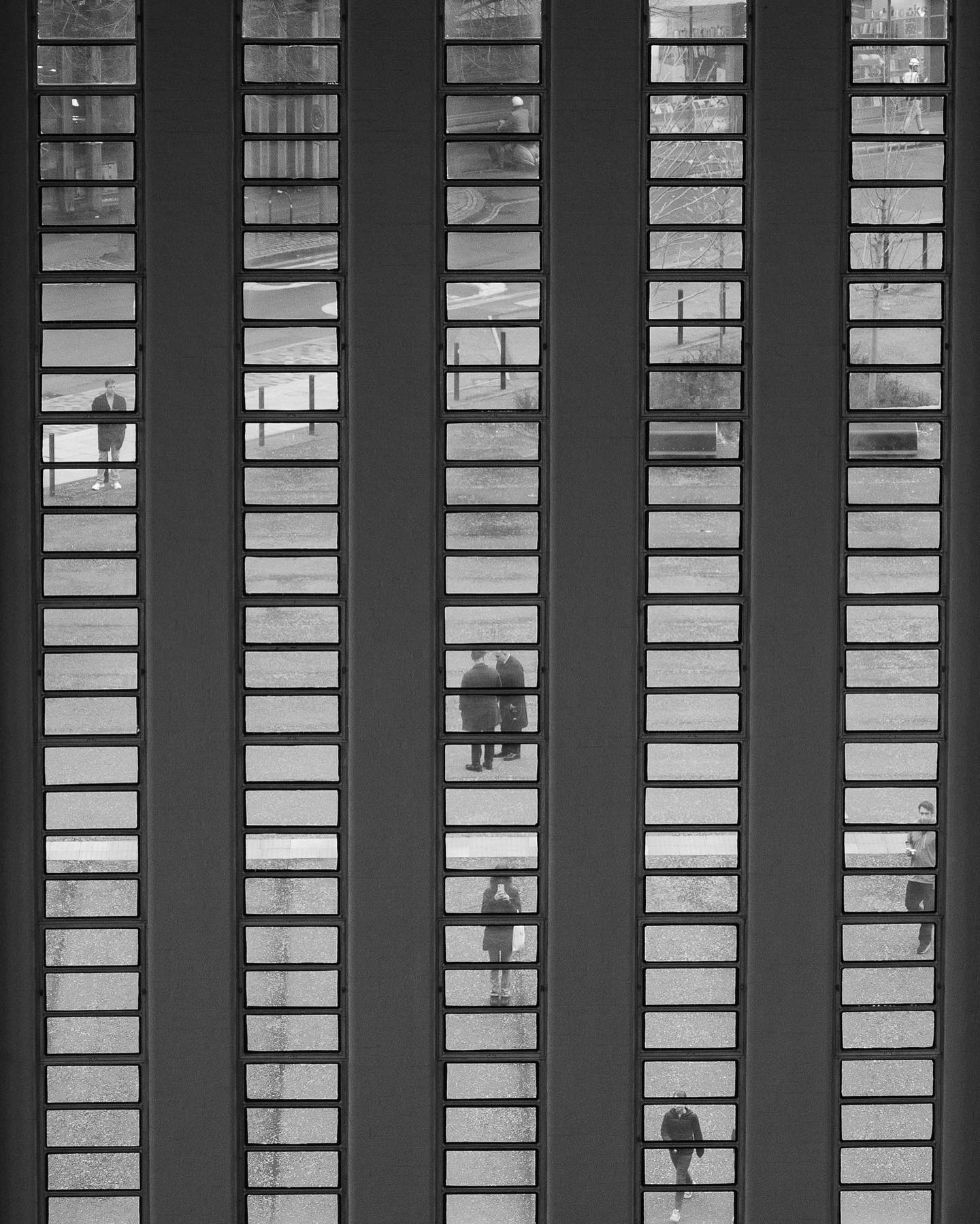 The Window: A Glimpse into Urban Intimacy