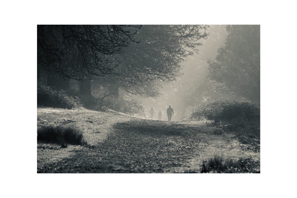 Ethereal Path: Mist-Enshrouded Figures in Richmond Park