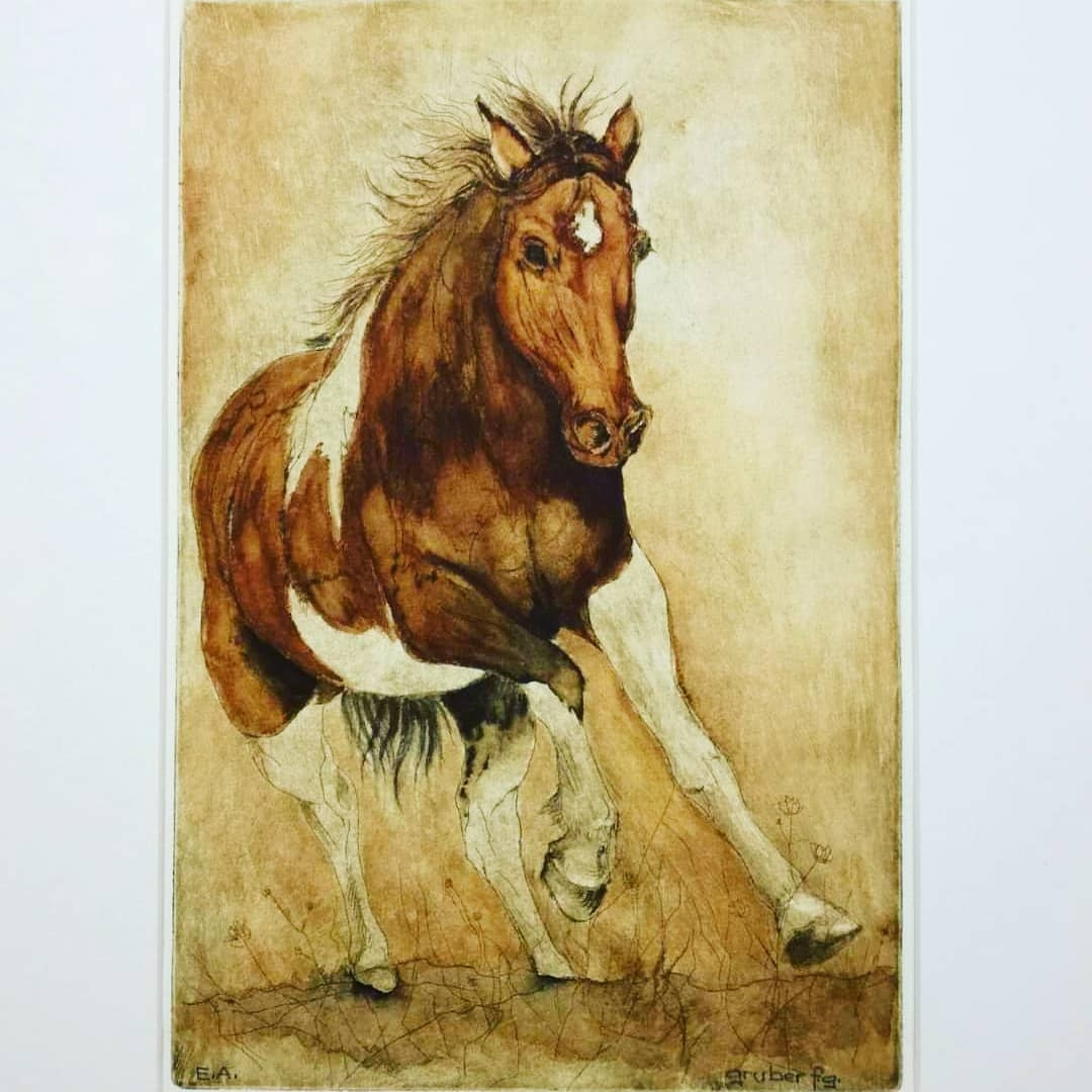 Salvadore