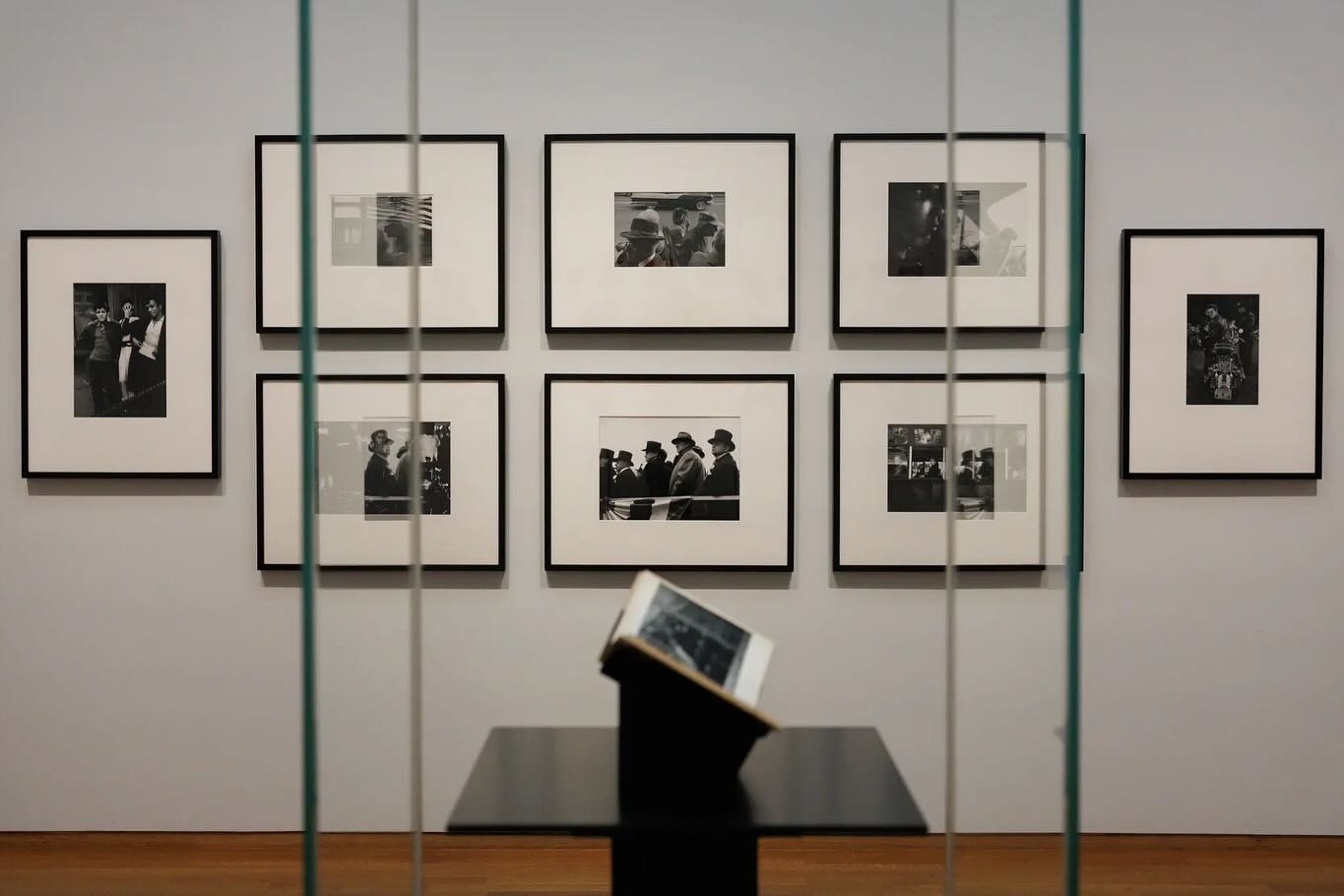 Echoes of the American Dream: A Curated Legacy