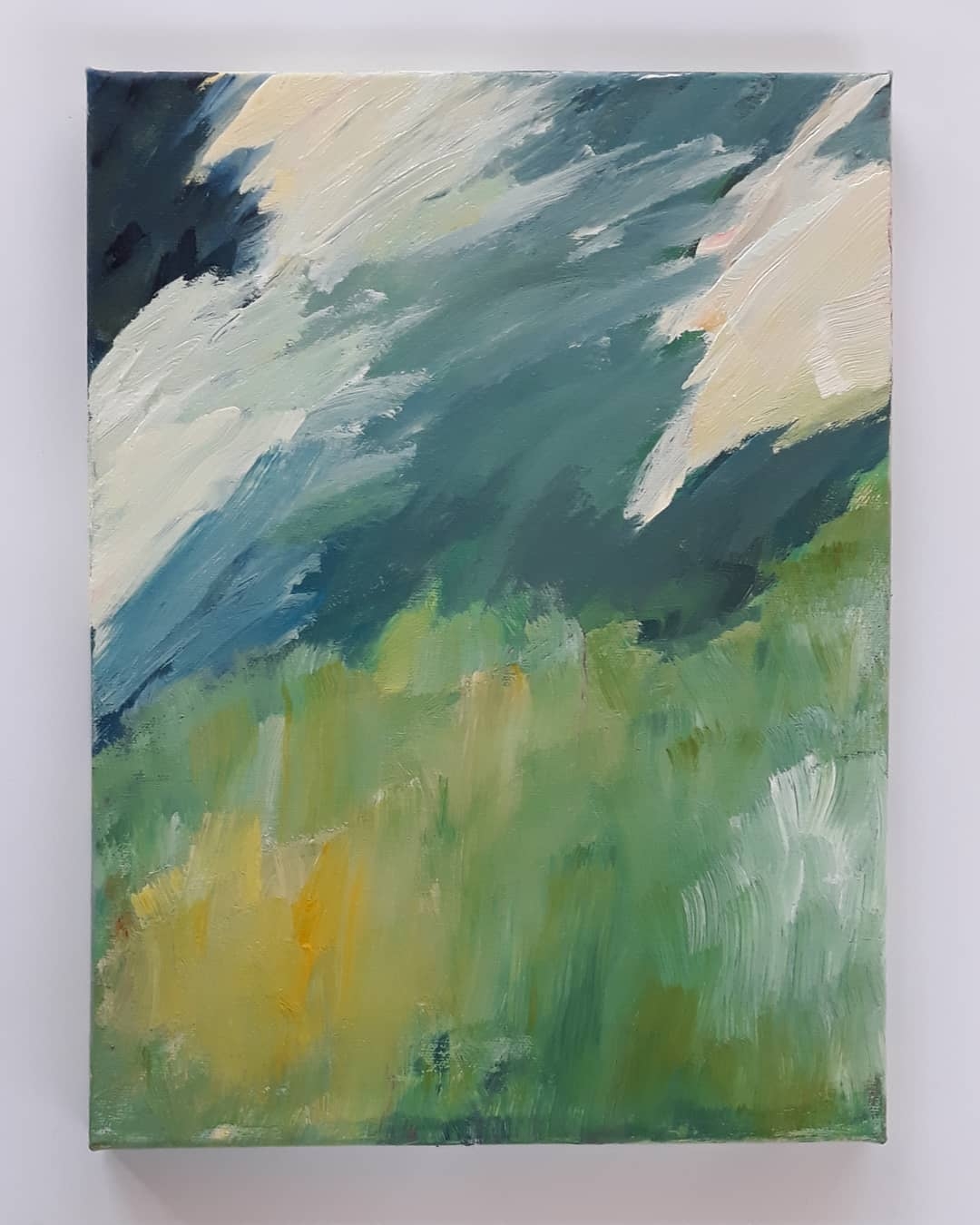 Serene Abstraction: Fields and Horizons