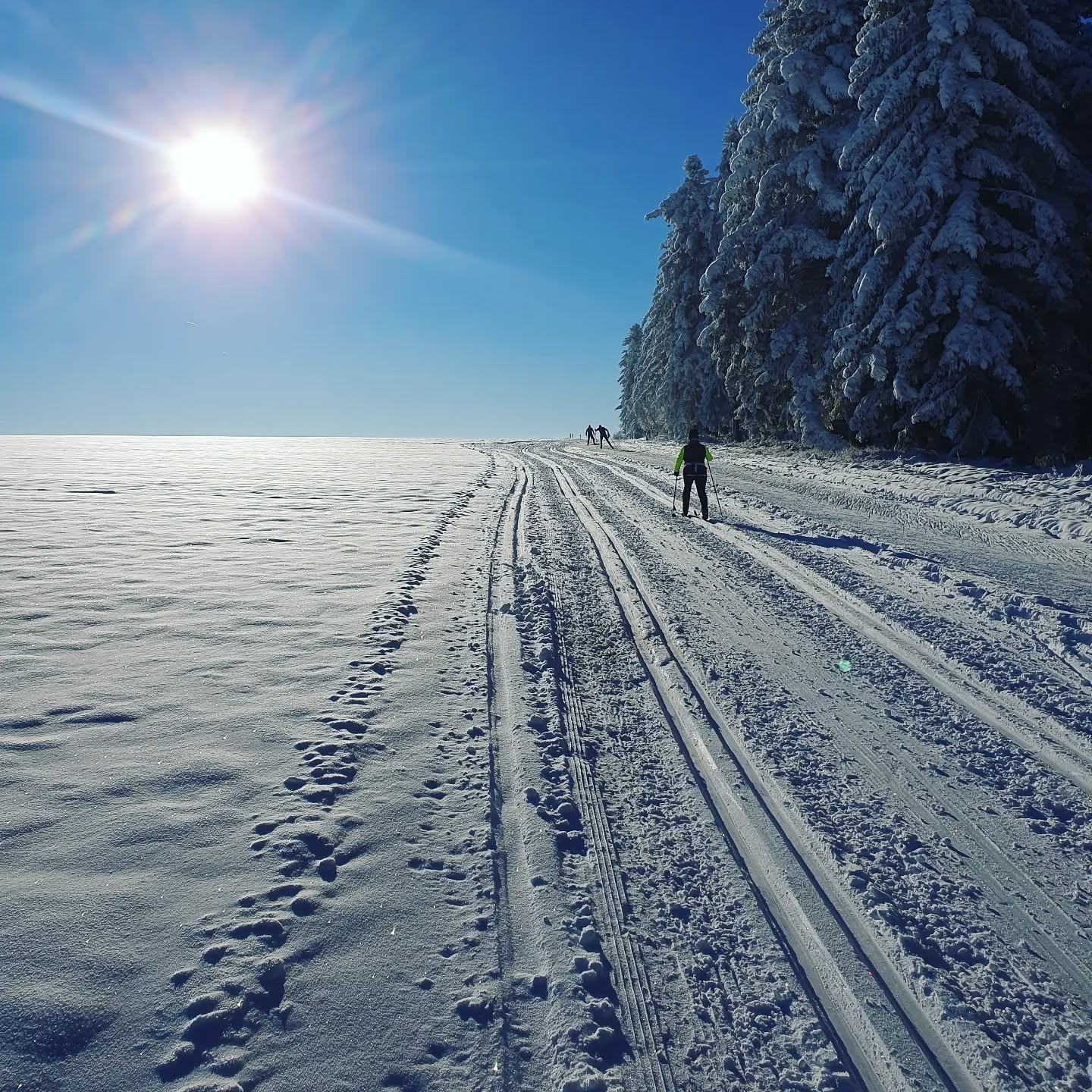 Serene Winter Path: Cross-Country Skiers in Snowy Tranquility