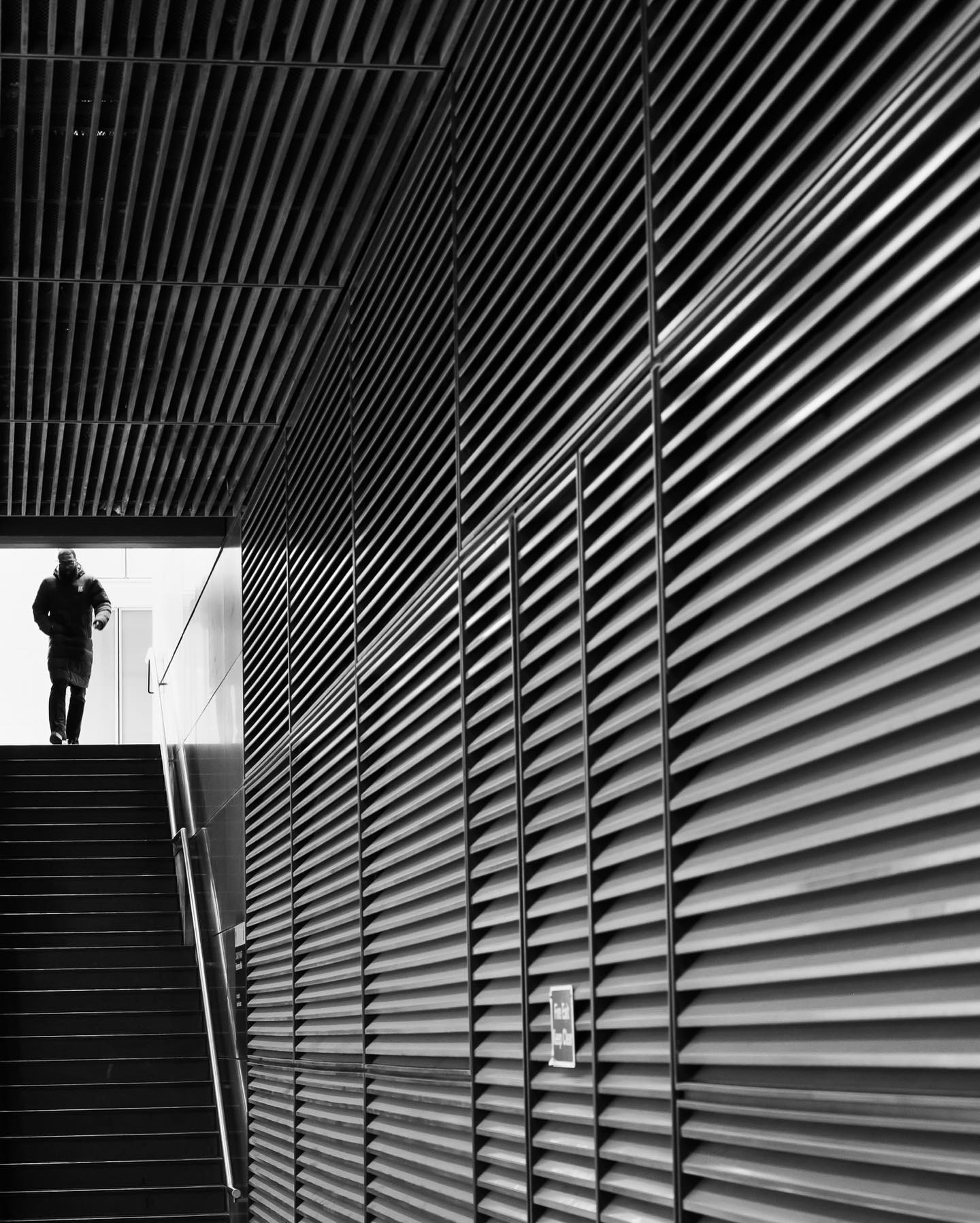 Descent into Light: Leading Lines Experiment