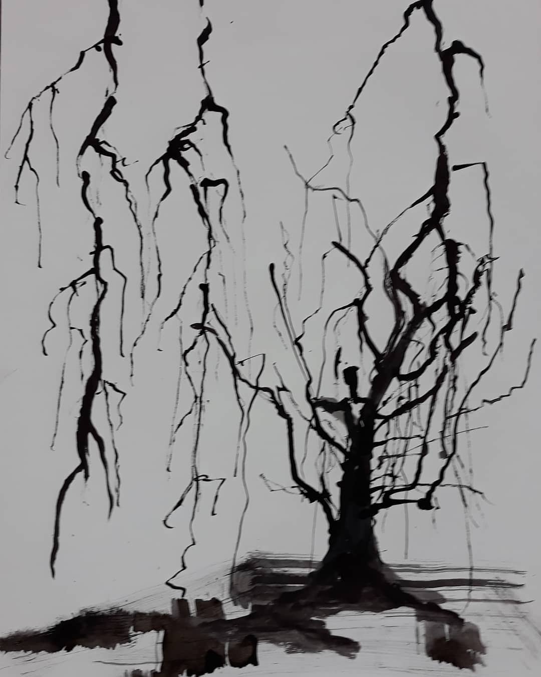 Solitary Echoes