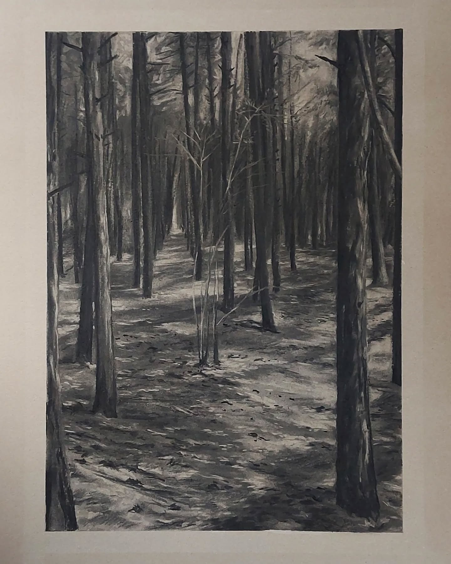 Whispers of the Silent Grove