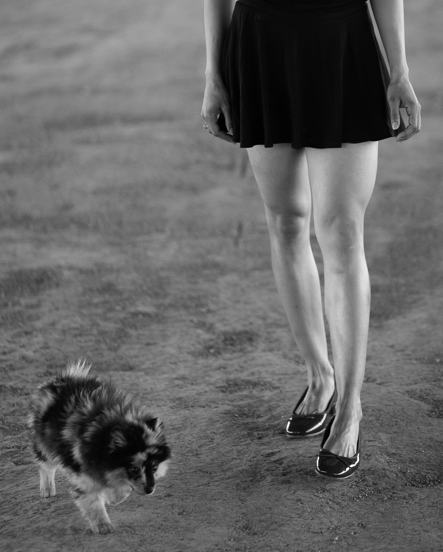 Casual Elegance: A Woman & Her Pomeranian in Natural Light