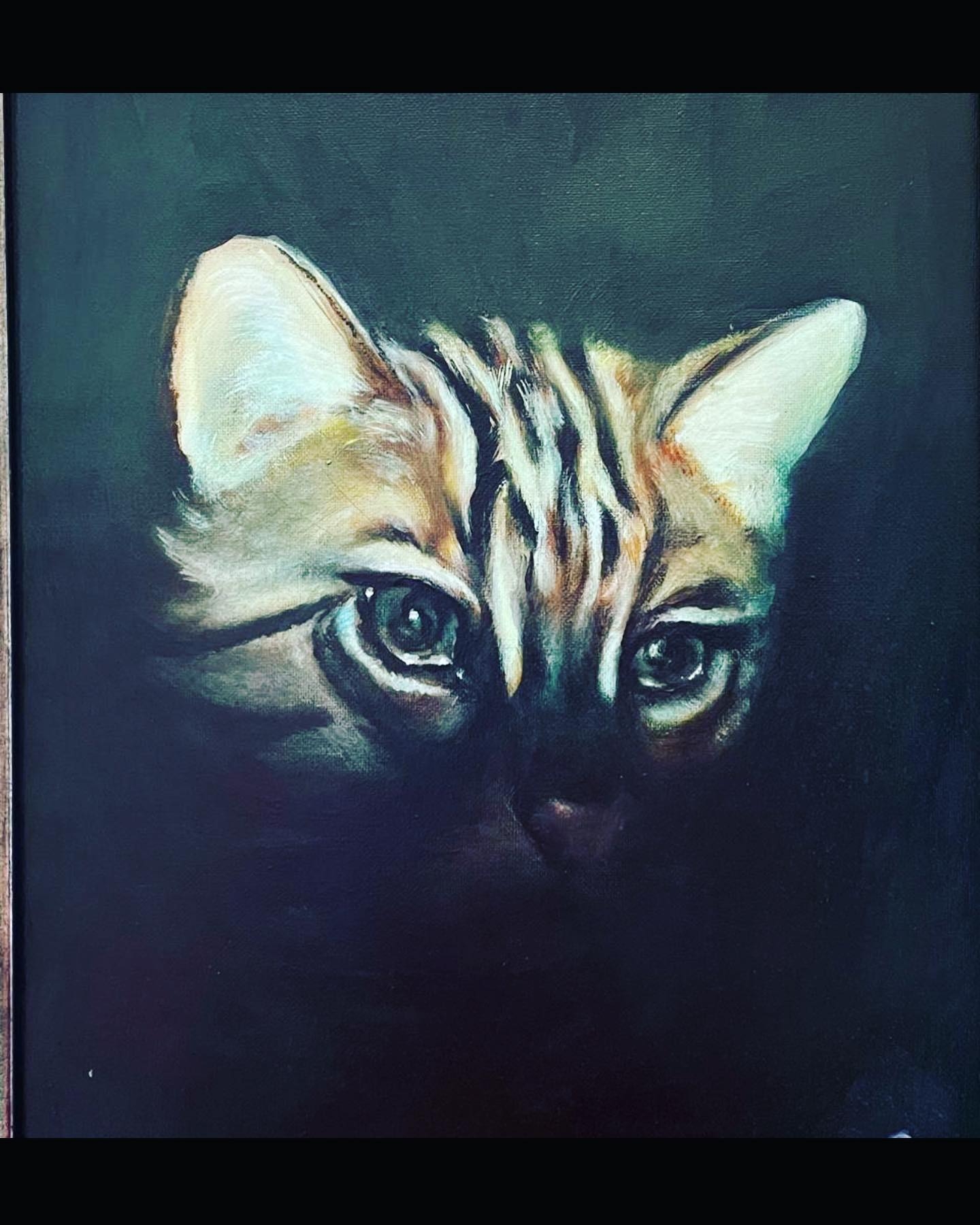 Ethereal Gaze: A Tabby's Silent Meditation