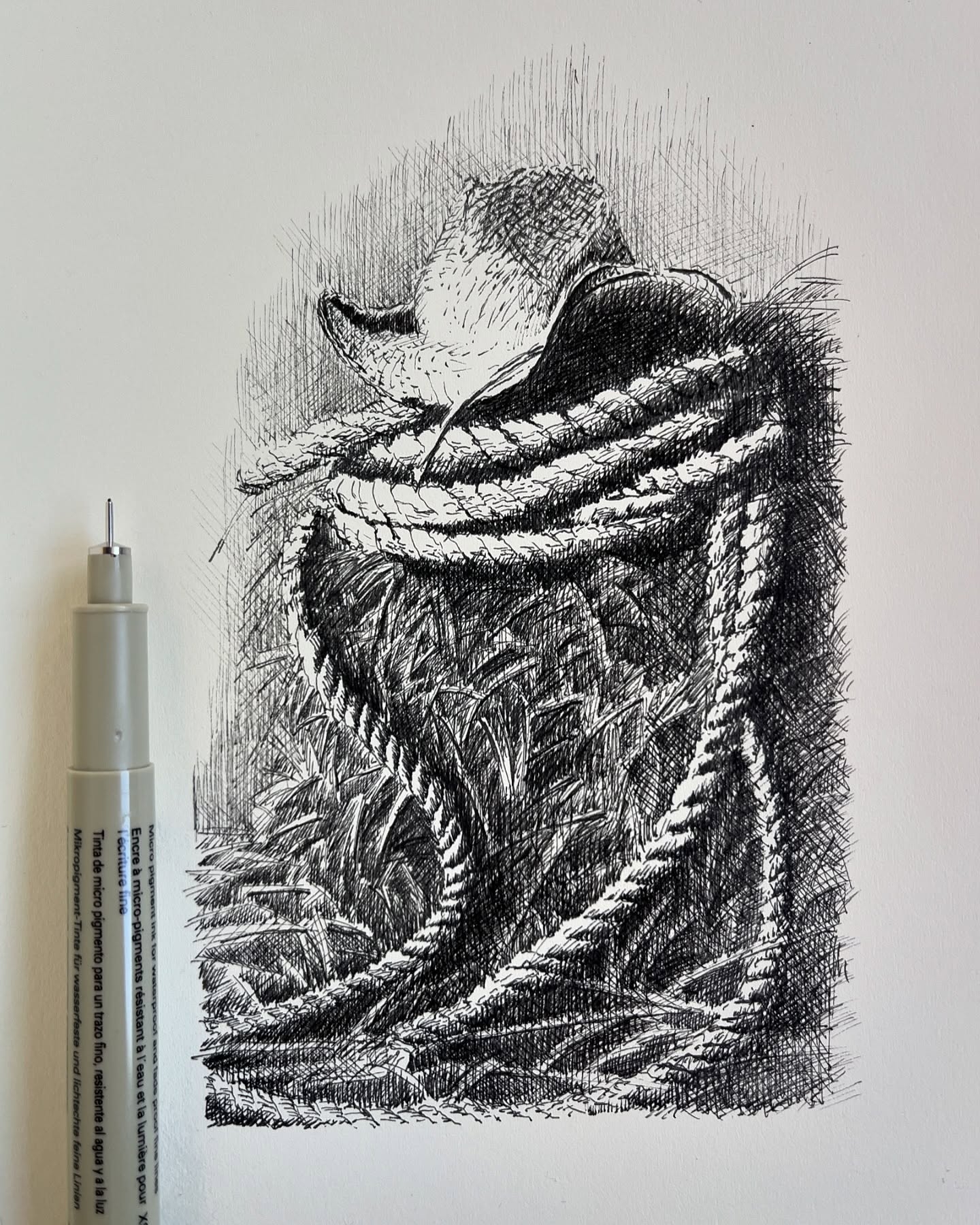 The Rope-Bound Sentinel