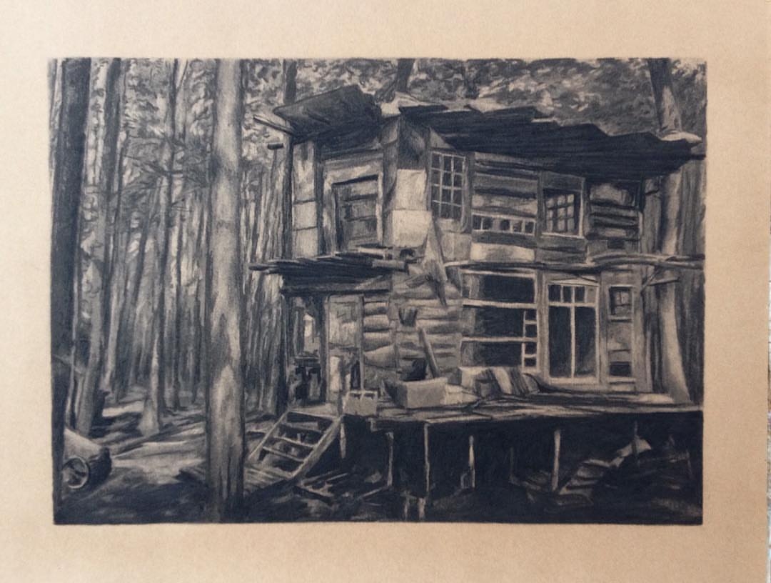 Whispers of the Wilderness: A Rustic Cabin's Sanctuary