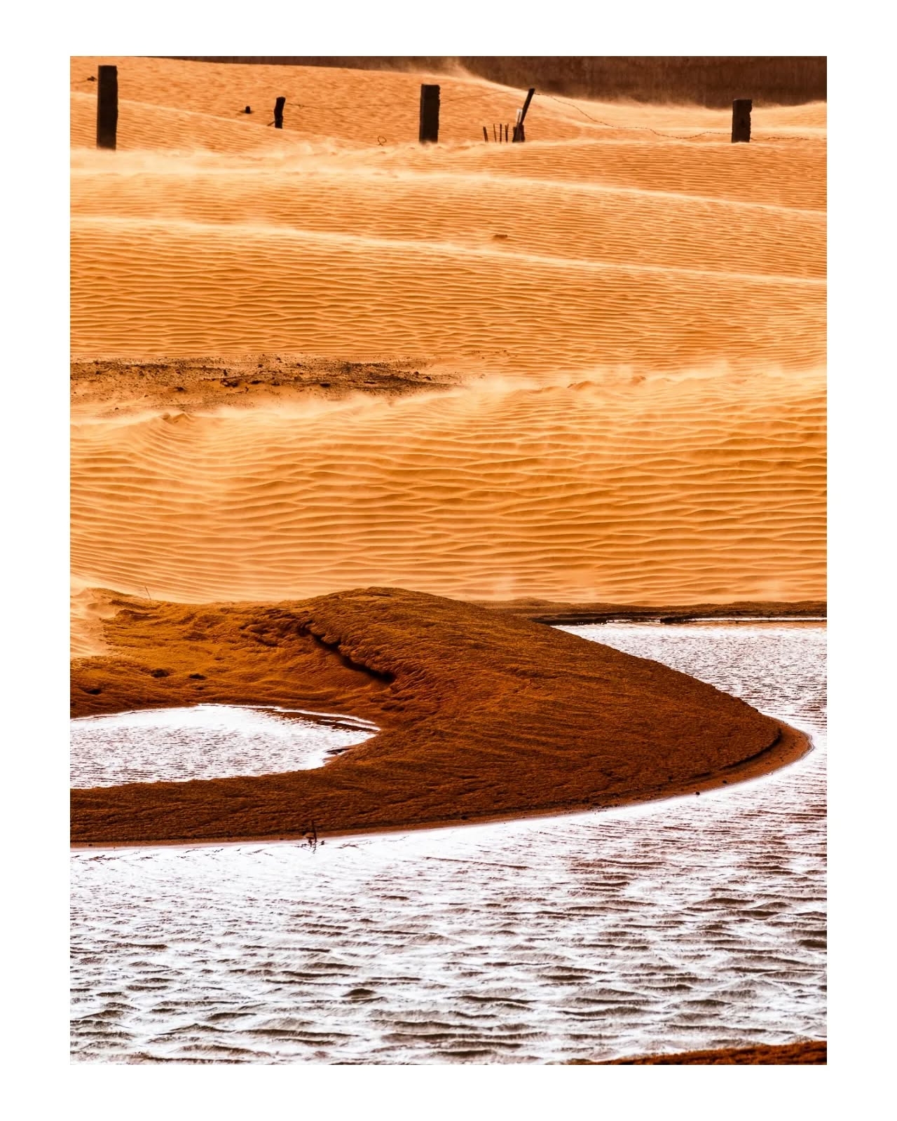 The Colors of Water: Desert Oasis Contrast