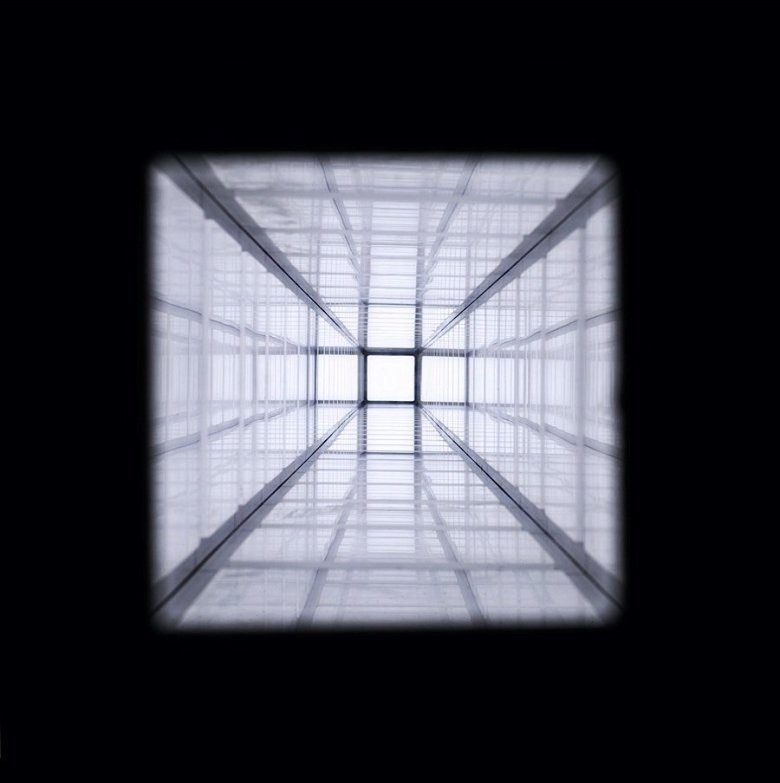 Square Grid: Window of Order and Contrast