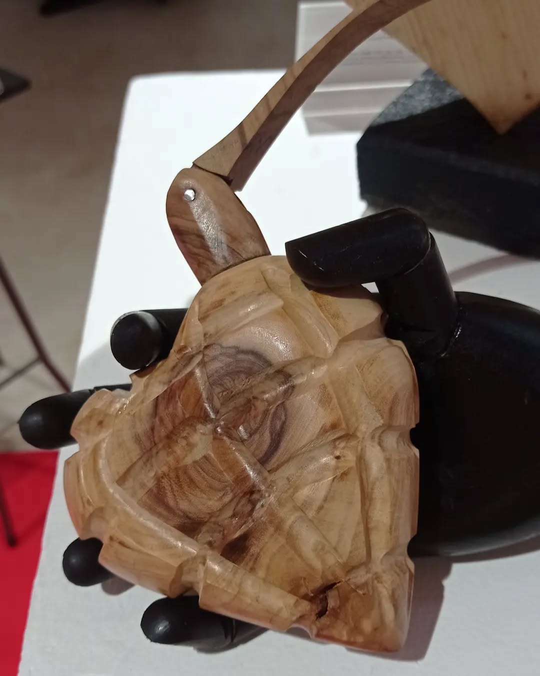 Whimsical Light Wood Turtle Sculpture on Gloved Hand