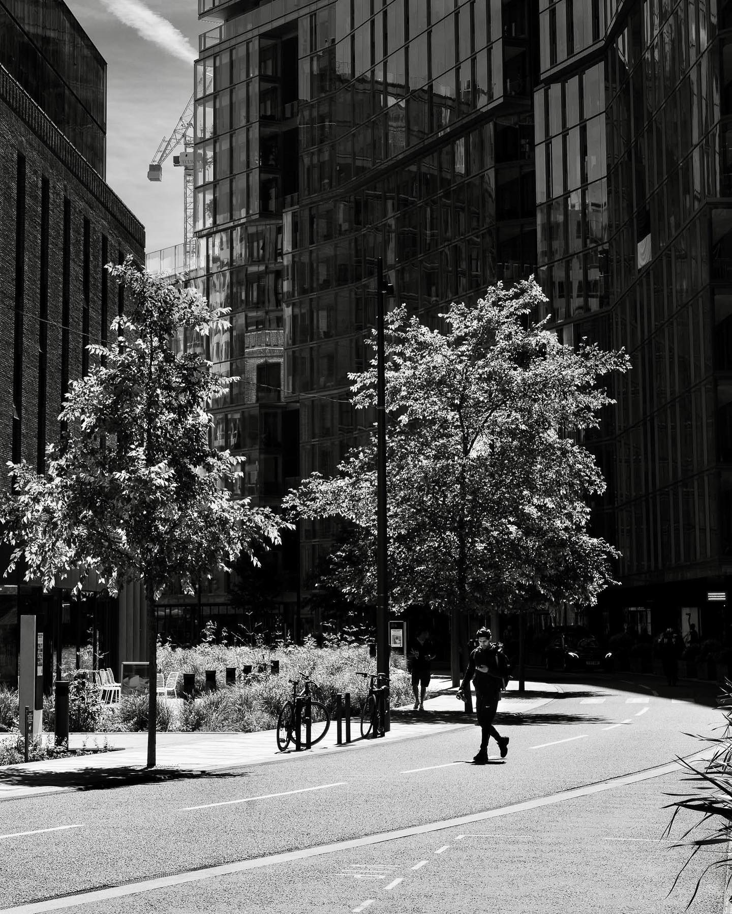 Urban Pulse: Glowing Trees Amid Modern Architecture