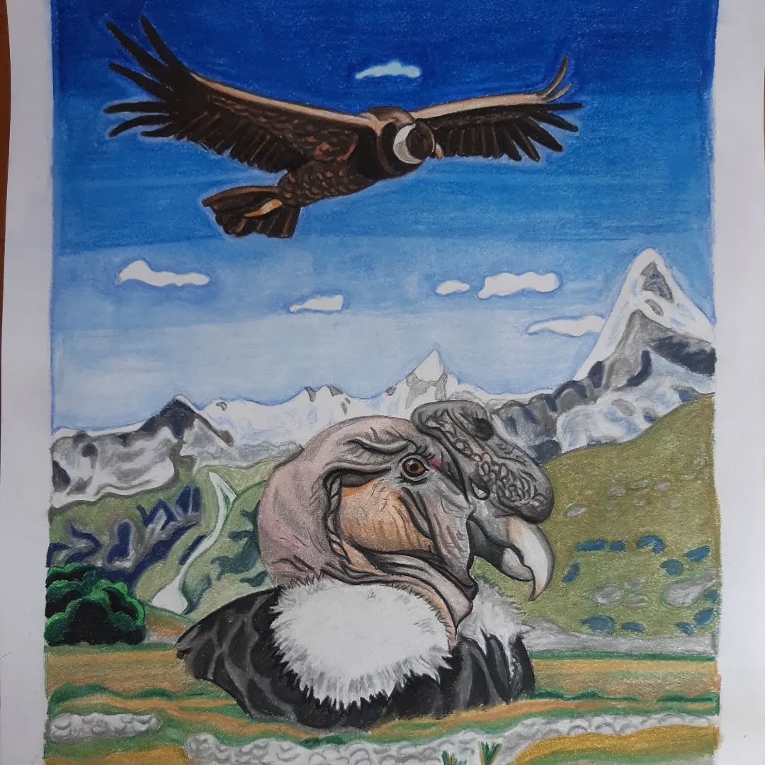 Condor and Apuchin Over Andean Peaks