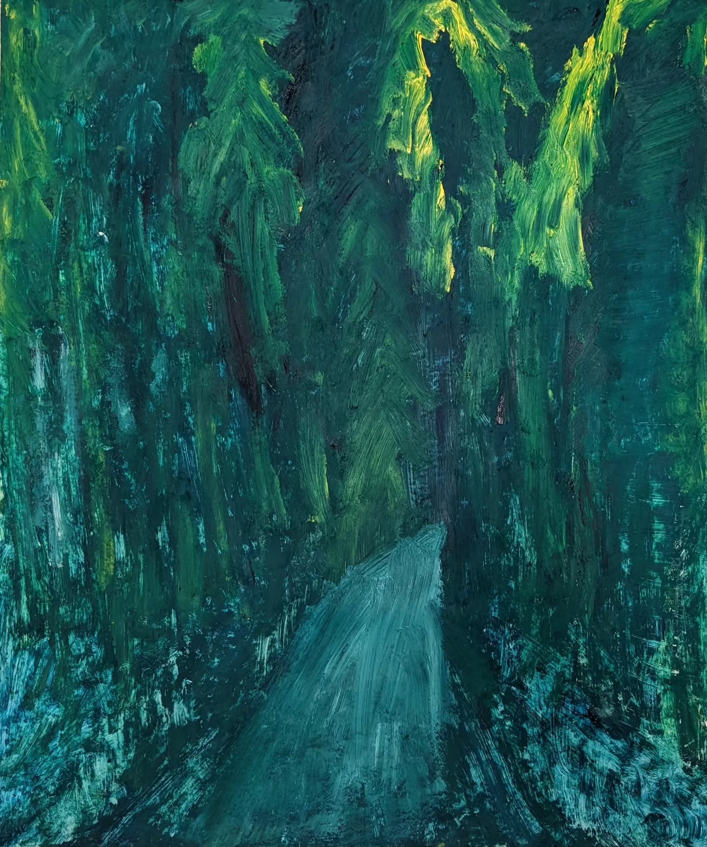 Whispering Canopies: Forest Serenity