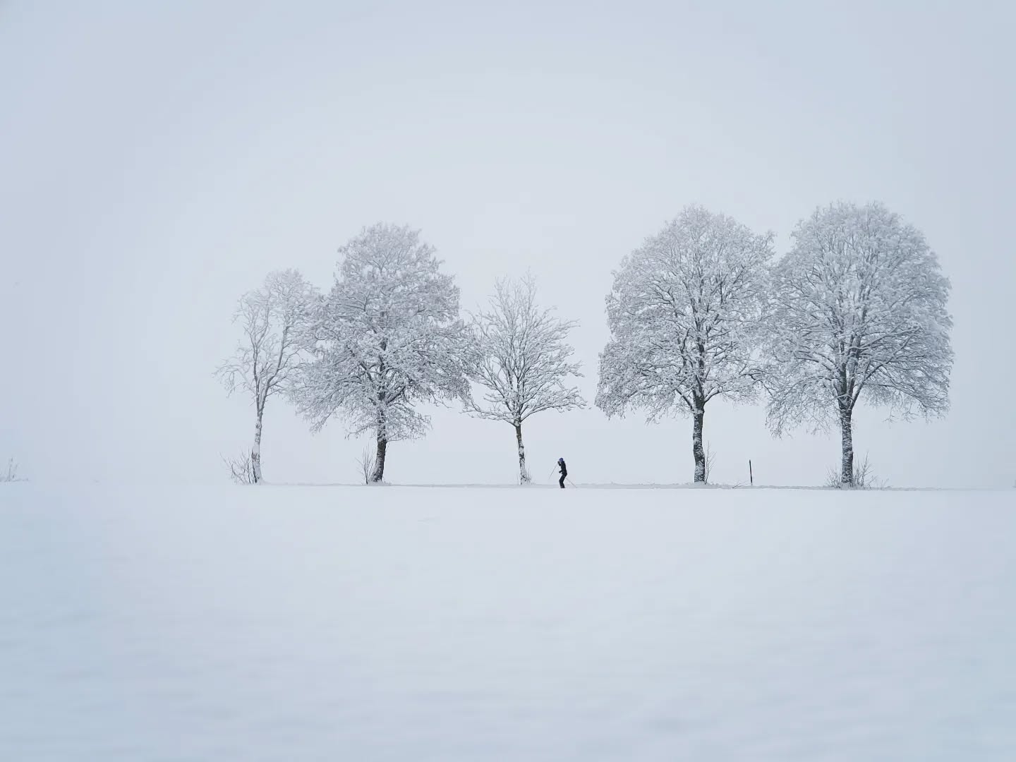 Misty White Serenity