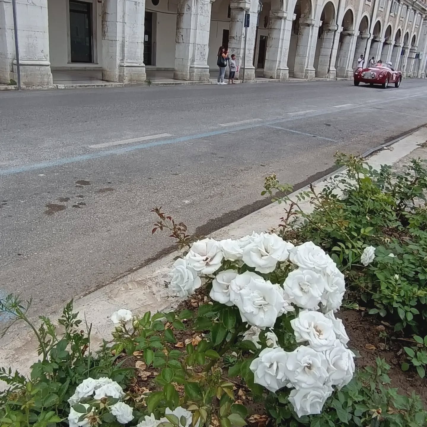 1000 Miglia Senigallia 2023