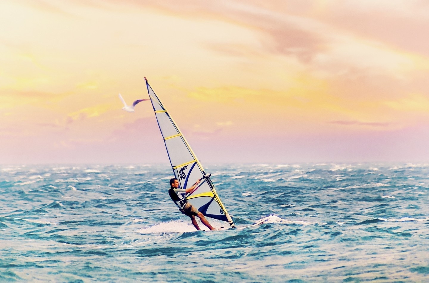 Dynamic Windsurfer: Freedom on the Ocean Waves