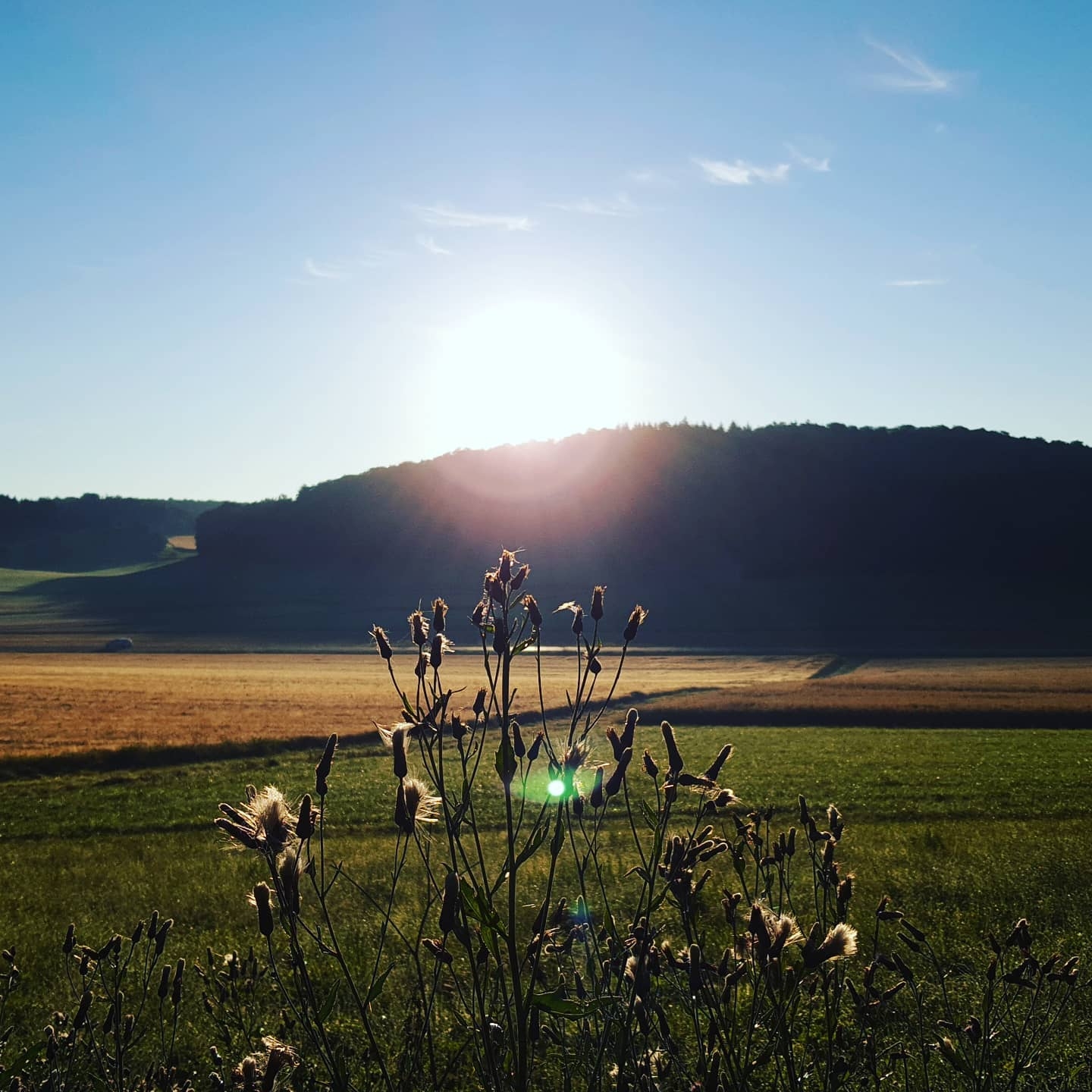 Golden Horizon: Serene Sunset Over Rolling Hills