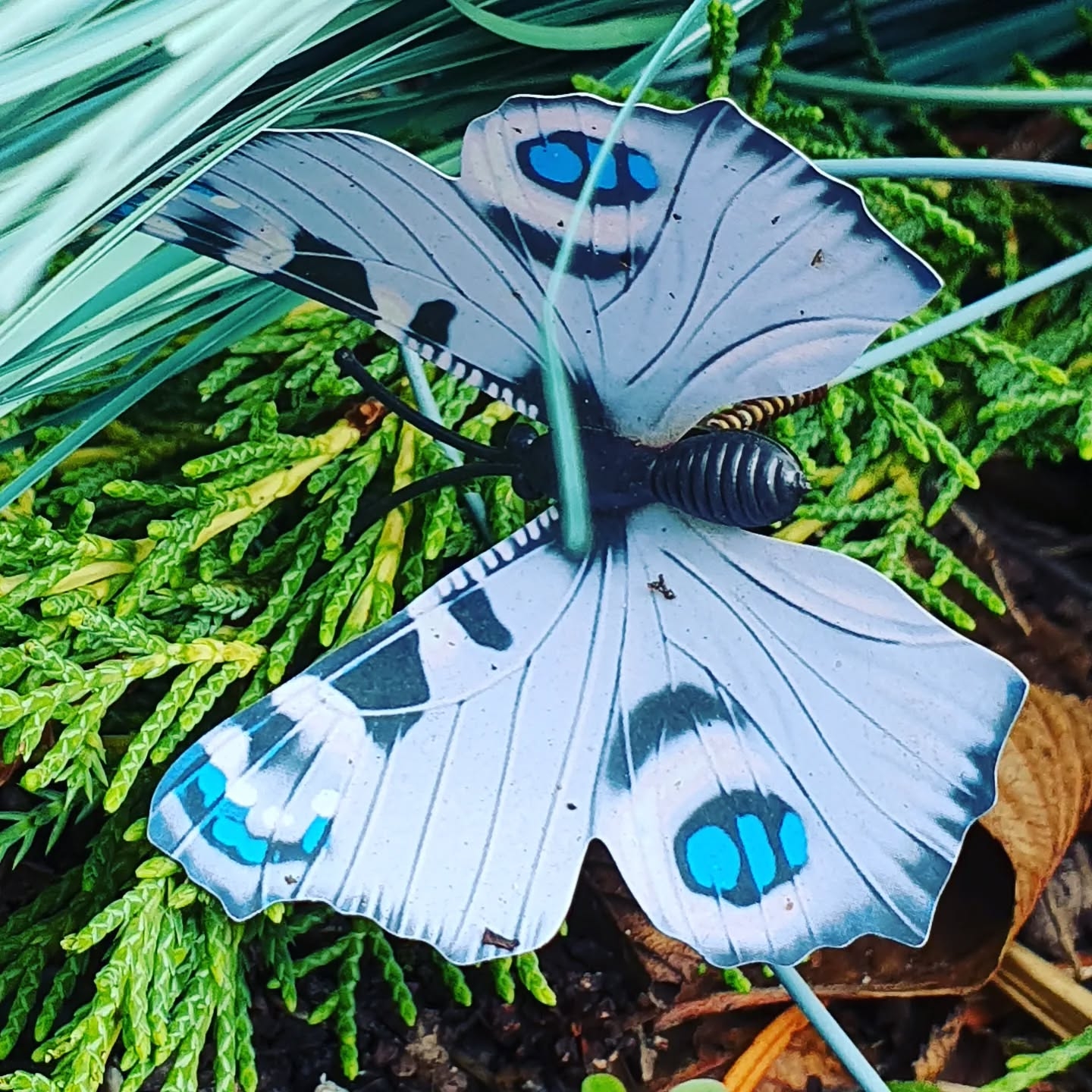 Butterfake 2