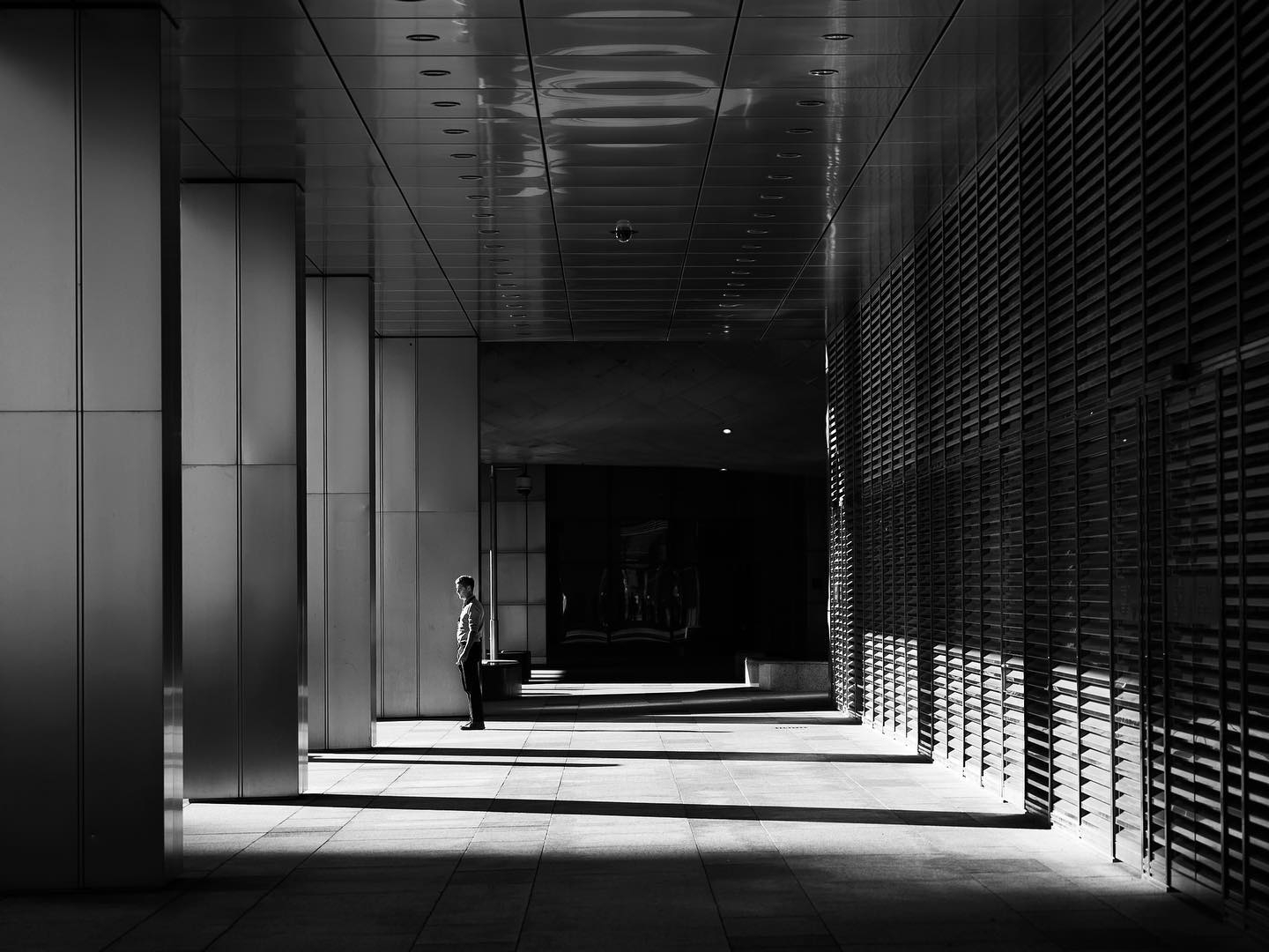 Contemplation in Natural Light