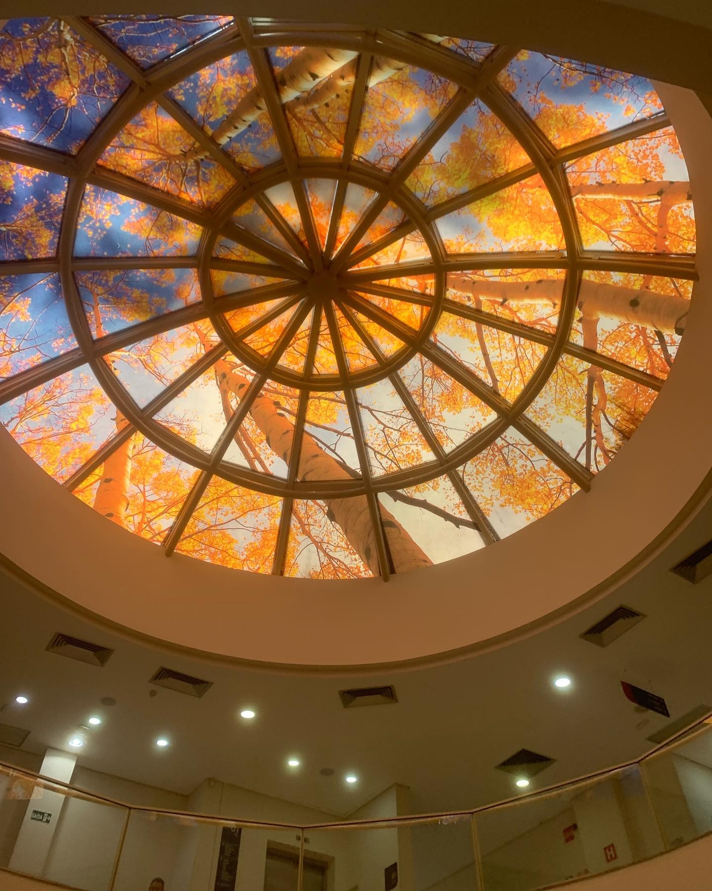 Celestial Autumn: Skylight Elegance
