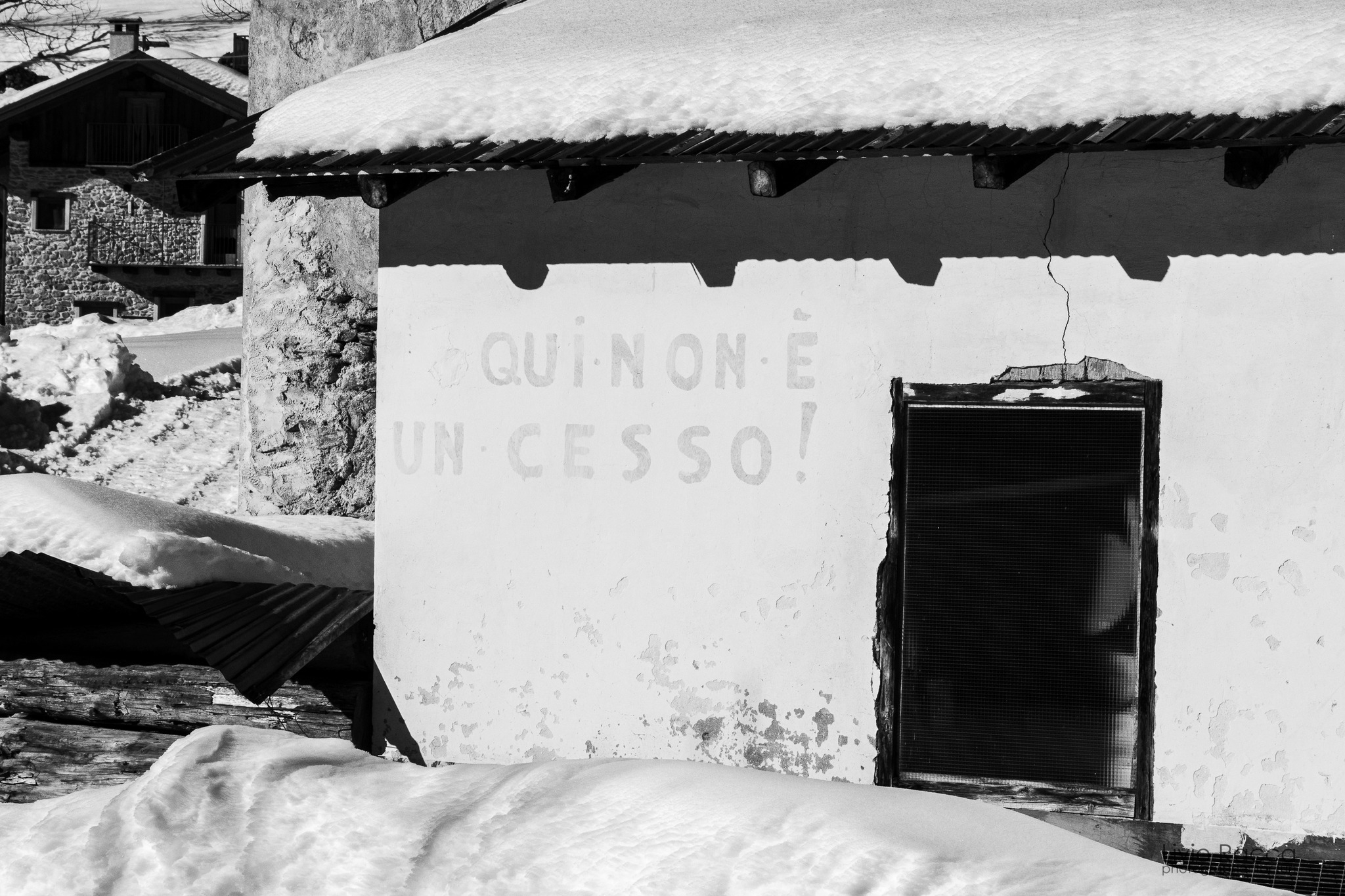 Snow-Covered Relic: A Winter Solitude