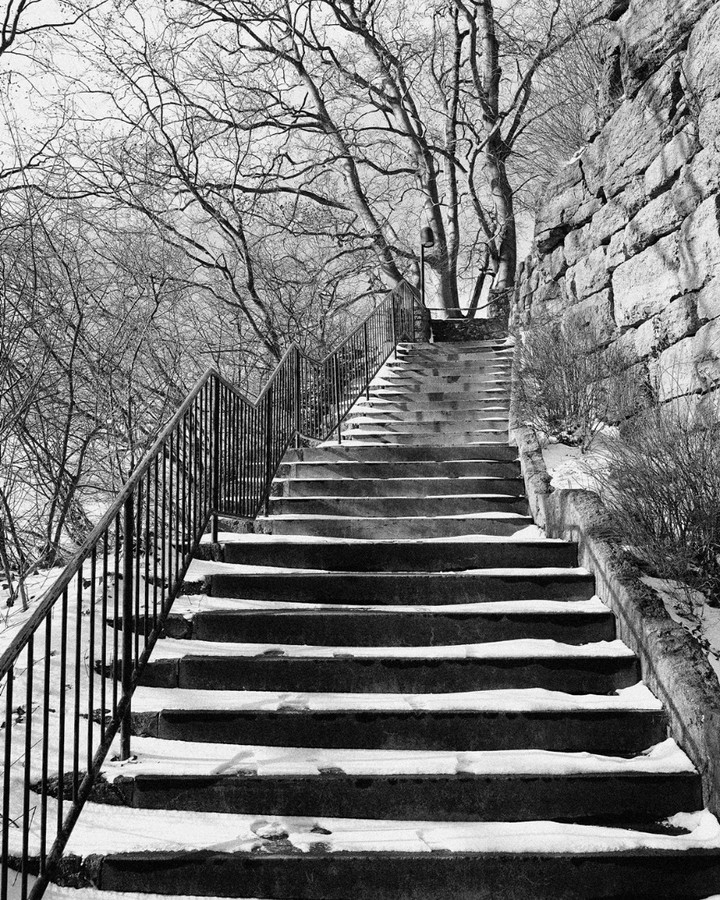 Winter Serenity: Stairway Amidst Snow-Covered Woods
