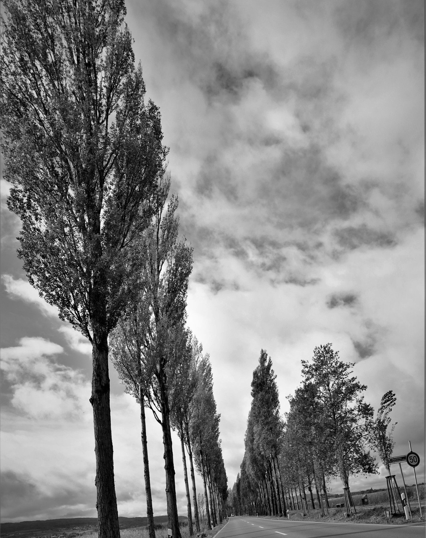 Serene Country Road | Bodensee's Tranquil Allee