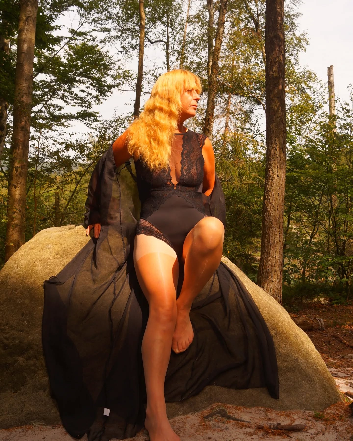 Contemplative Beauty in the Woods