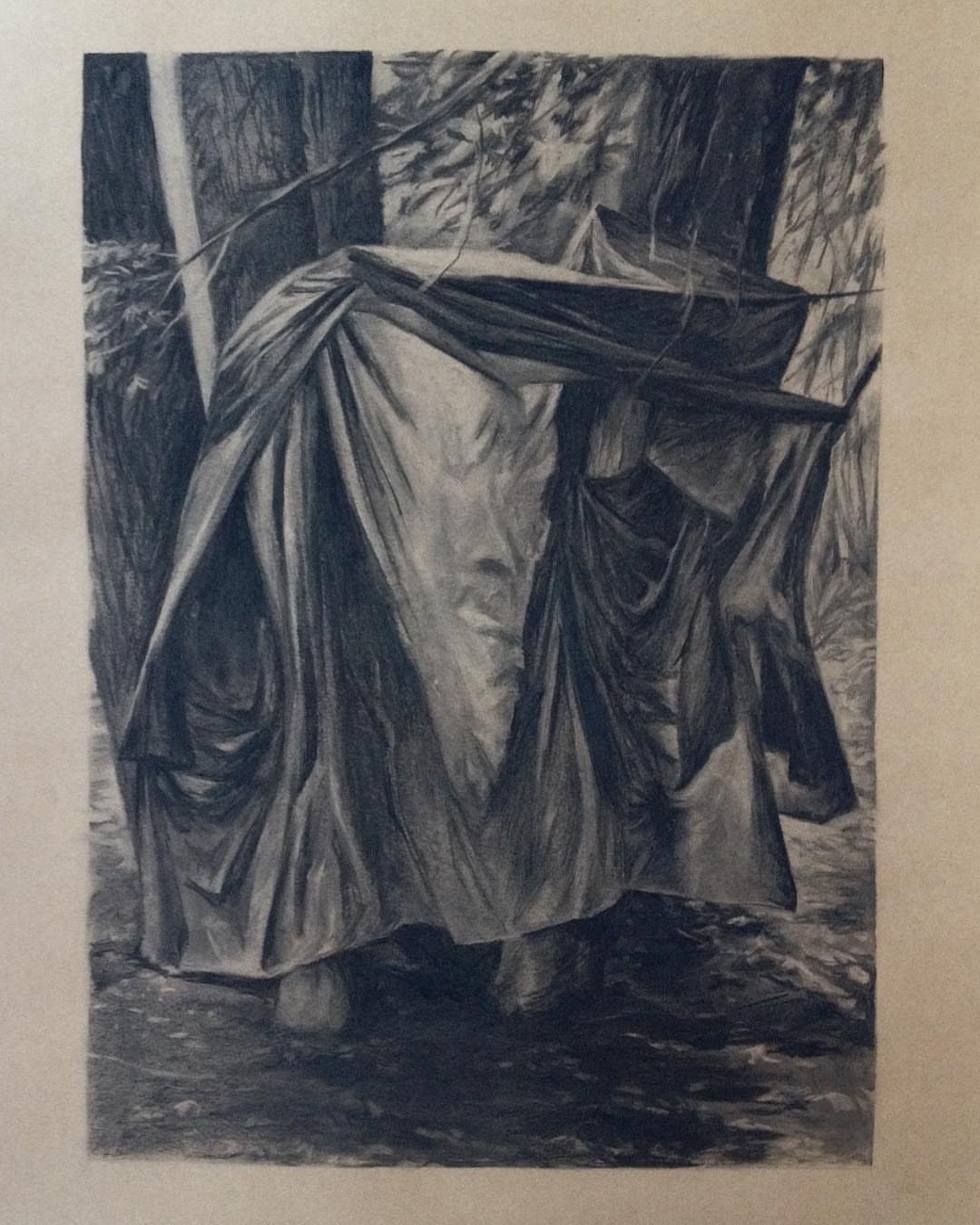 Veiled Presence in the Woods