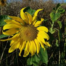 Product thumb gallery 3421