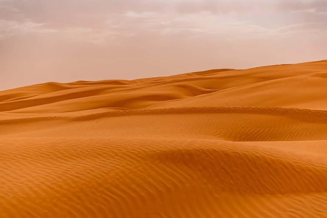 Product gallery 3676