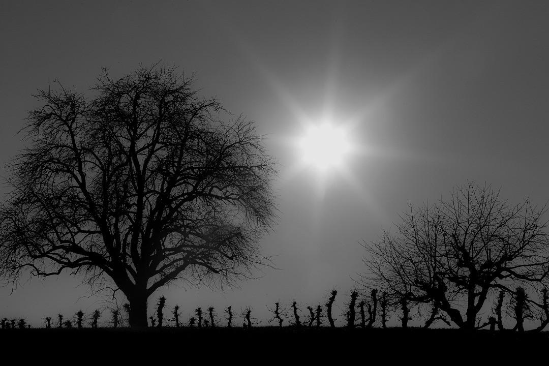 Product gallery 3706