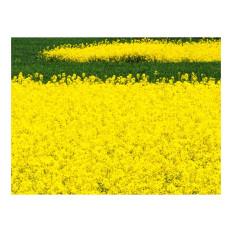 Product thumb gallery 5689