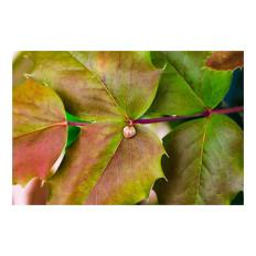 Product thumb gallery 7069