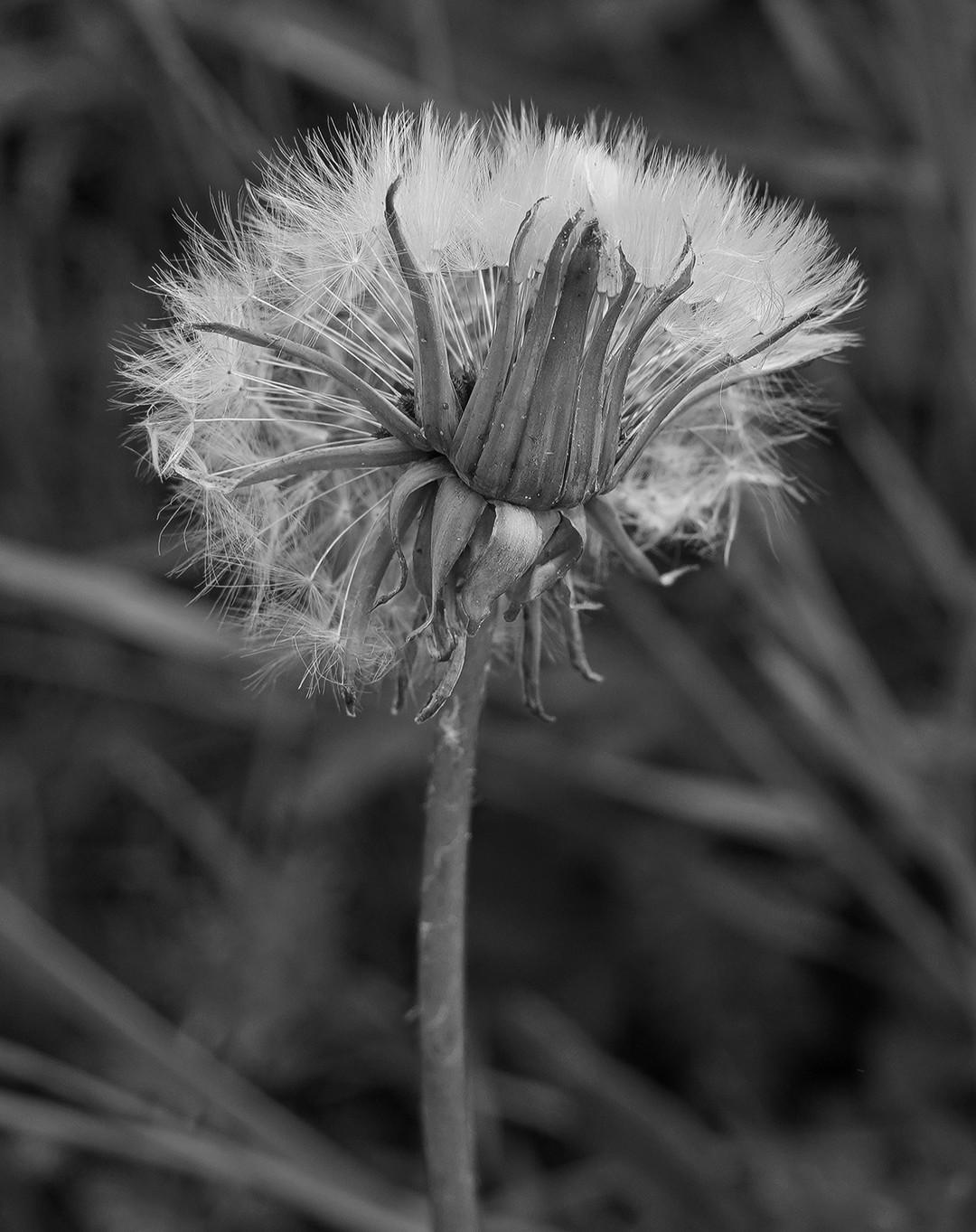 Product gallery 8968